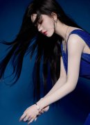 将其涉嫌犯罪问题移察机关依法审查告状